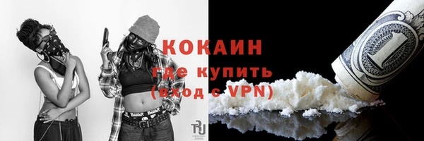 дживик Аркадак