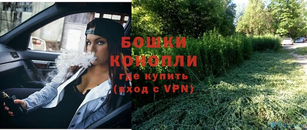 дживик Аркадак