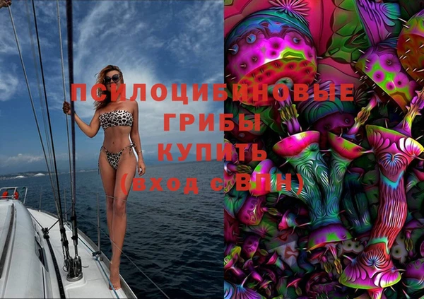 сатива Баксан