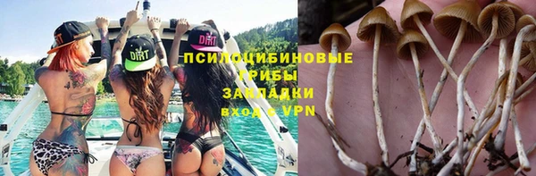 каннабис Арсеньев