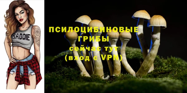 гашик Балахна